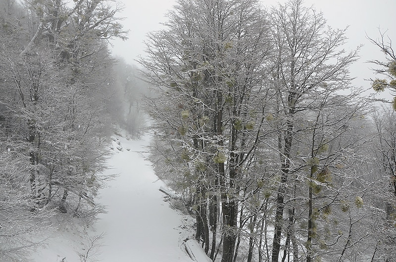 Neve em Bariloche