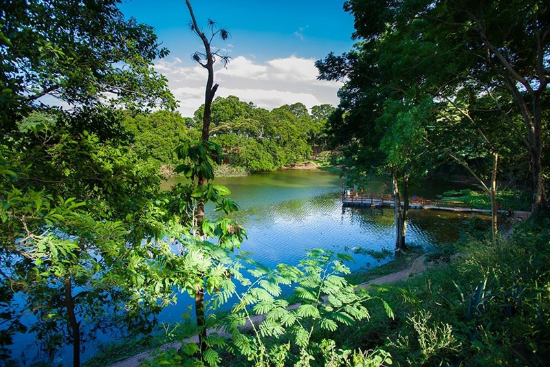 Jardim botanico santa cruz d ela sierra