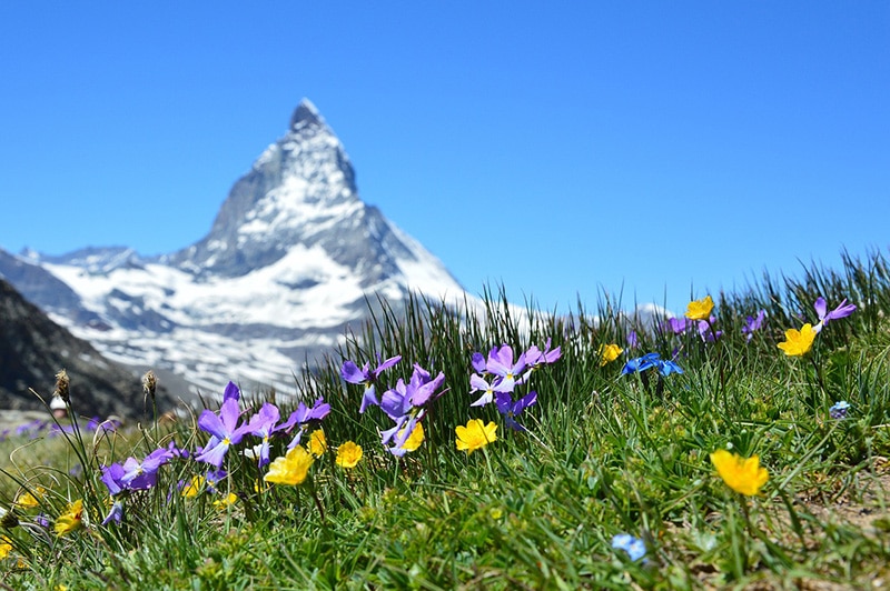 Quando é primavera na Suíça