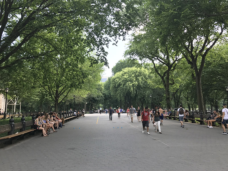 Parque mais famoso de NY