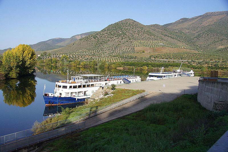 O que fazer no Vale do Rio Douro Tipos de cruzeiros pelo Vale do Douro