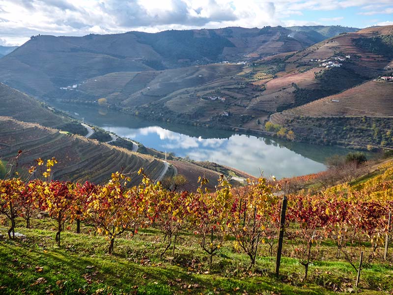 Caves da região do Rio de Douro Vinícolas do Vale Douro em Portugal