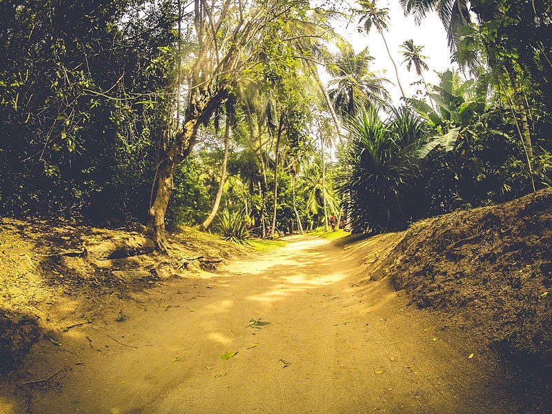 Parque Tayrona mochileiros