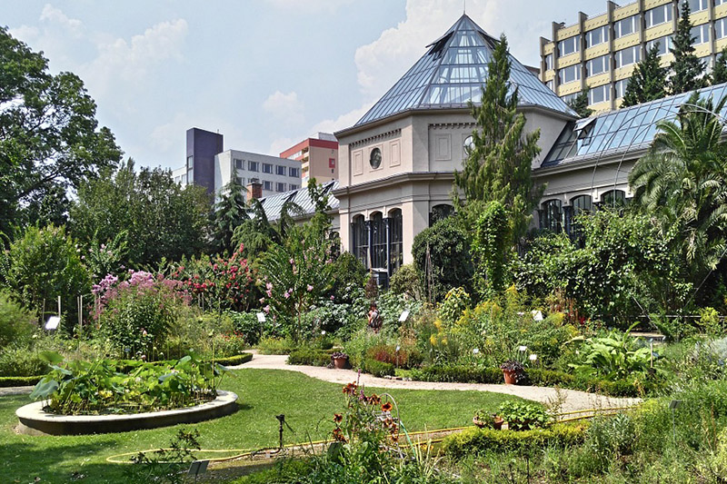 Jardins para visitar em Paris na primavera