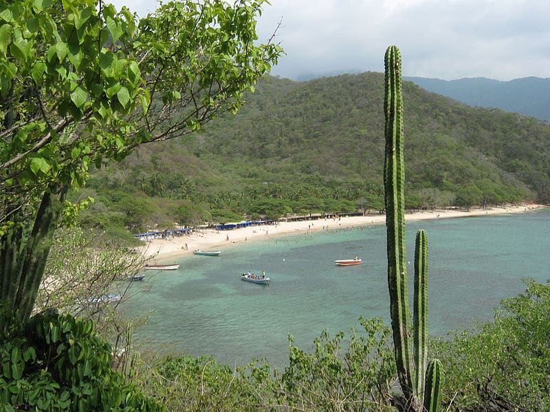 Playa Cristal Parque Tayrona 