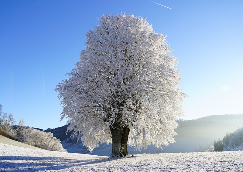 Quando é inverno na Suíça