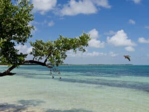Onde ficar na Riviera Maya: regiões na costa do México
