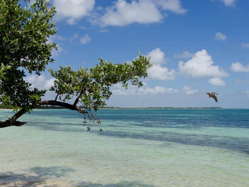 Onde ficar na Riviera Maya: regiões na costa do México