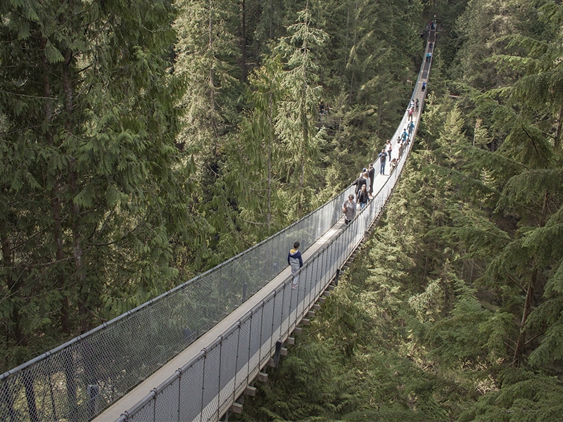 Capilano Suspension Bridge Vancouver Vancouver pontos turísticos do Canadá