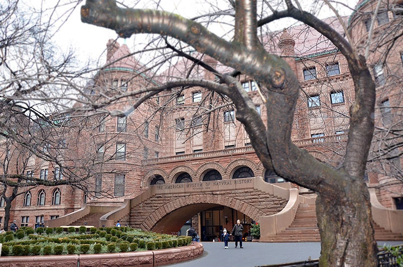 O que ver no Museu de História Natural de NY