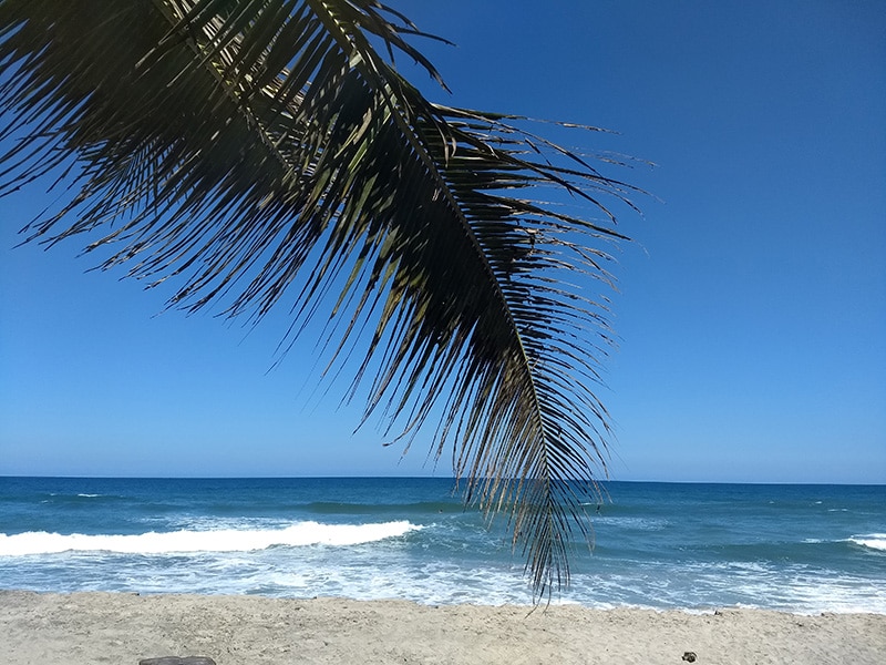 Parque Tayrona atrações