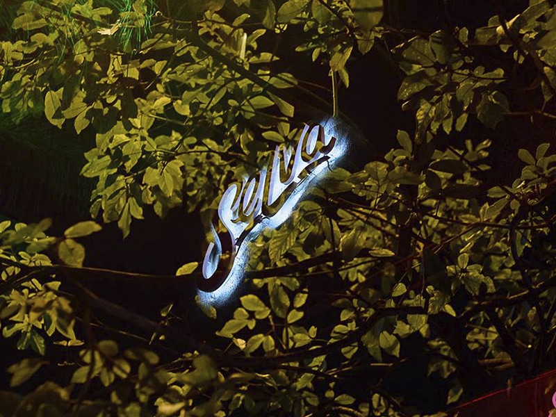 Baladas em são paulo Selva são paulo