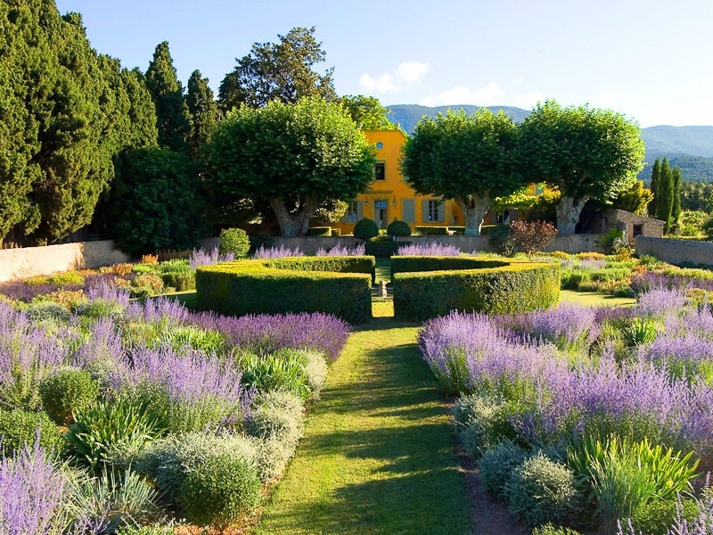 Provence e os campos de lavanda