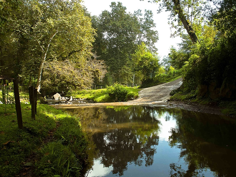 Passeios com guia no México 