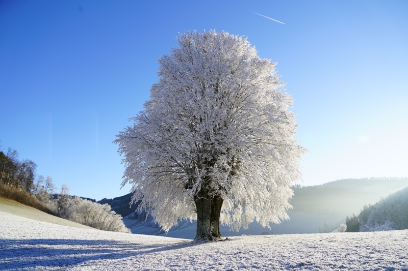 Curiosidades sobre o inverno no Canadá