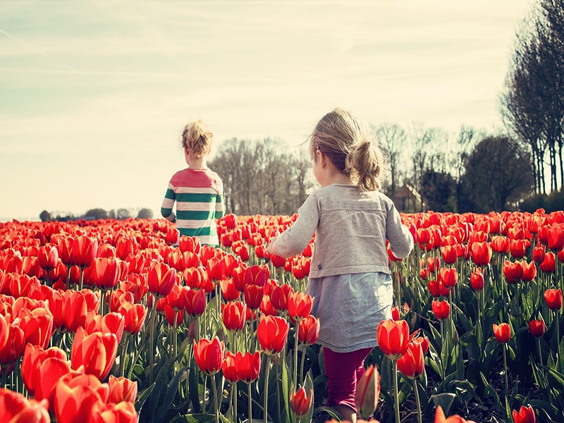 O que fazer na Holanda? Turismo na Holanda