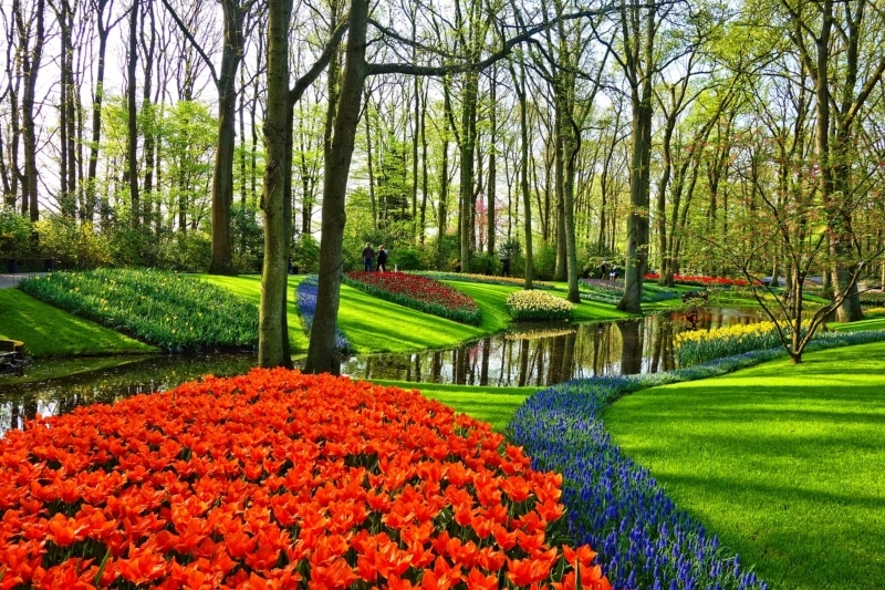 o que fazer na holanda em maio