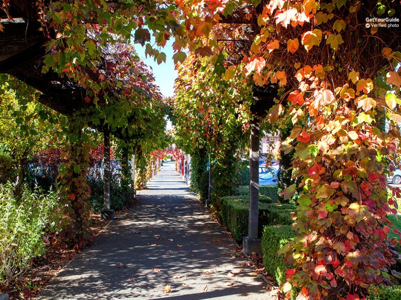 Vale do Sonoma e Napa com degustação de vinhos