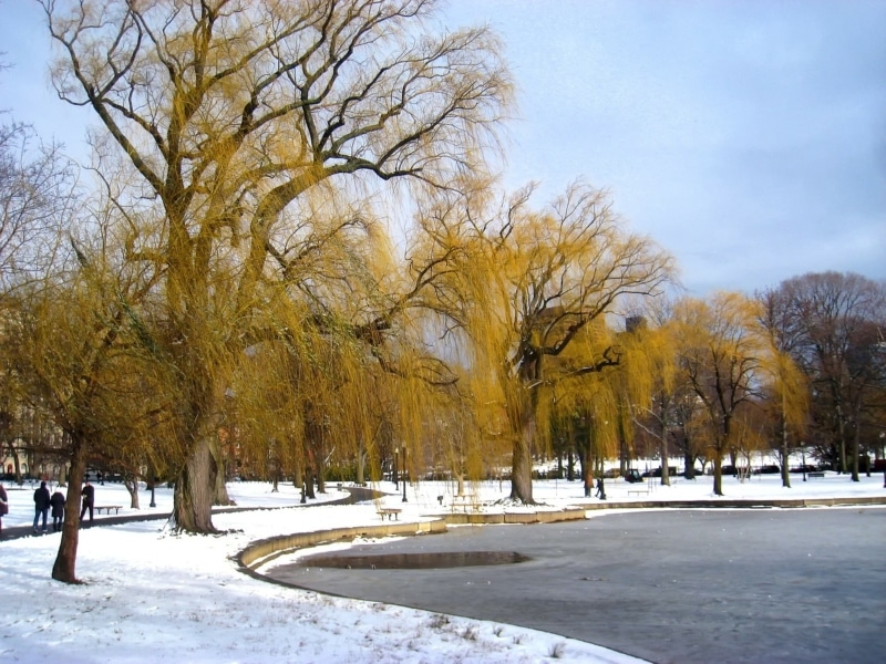 Excursões saindo de Nova York legais 