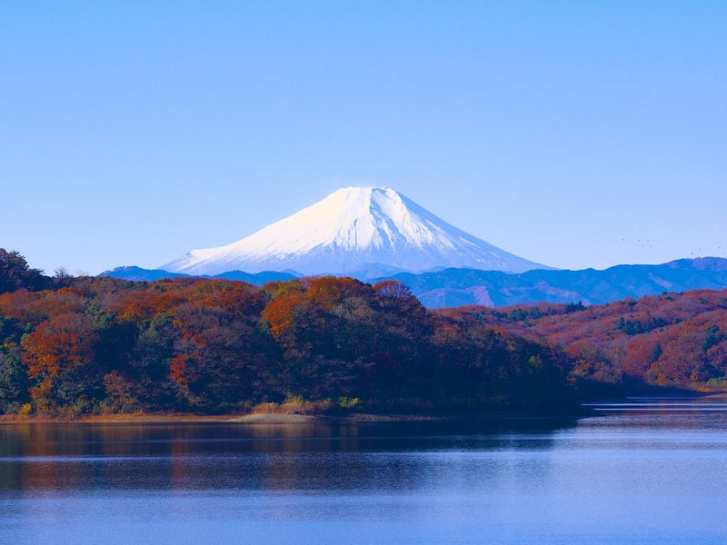 clima japão novembro