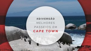 Passeios em Cape Town: os melhores tours guiados