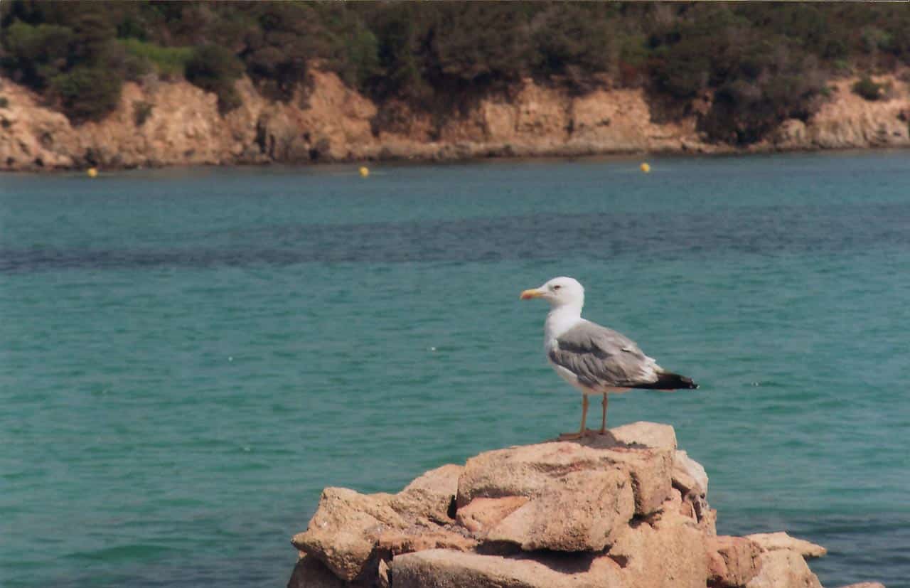 Praias, passeios e dicas para visitar La Maddalena