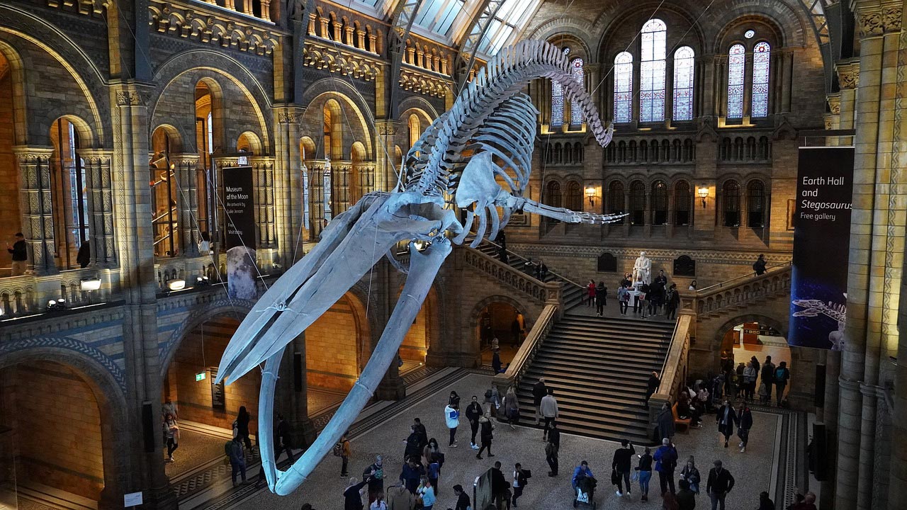Museus de Londres Londres no final do ano