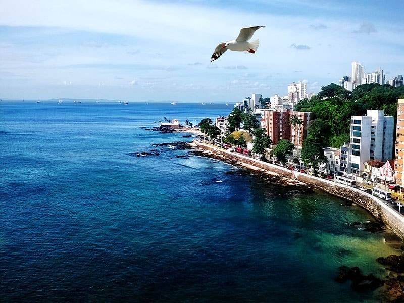 O que fazer em Salvador? Turismo em Salvador