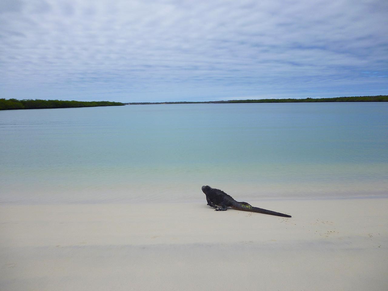Qual a melhor praia selvagem do mundo?