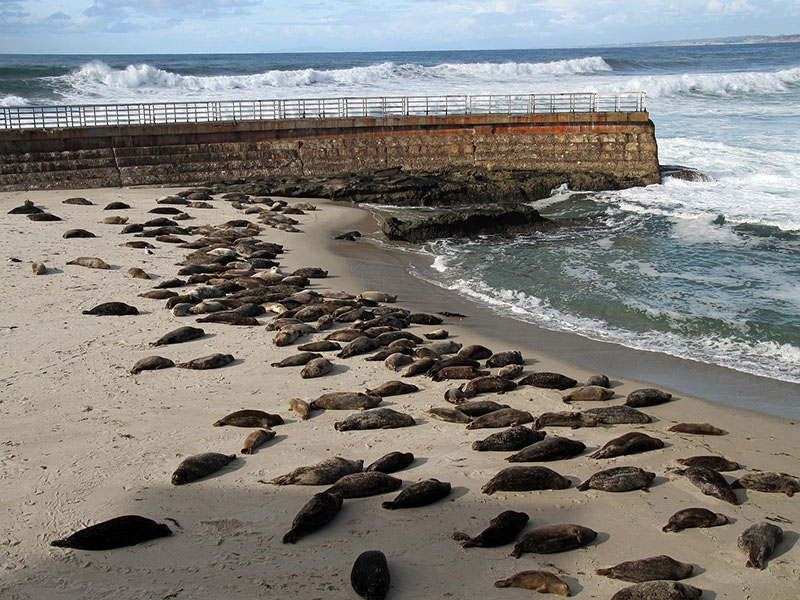 Roteiro em San Diego