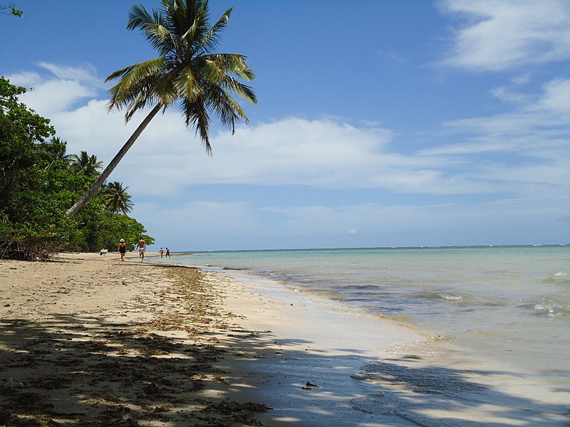 Praias mais bonitas da Bahia