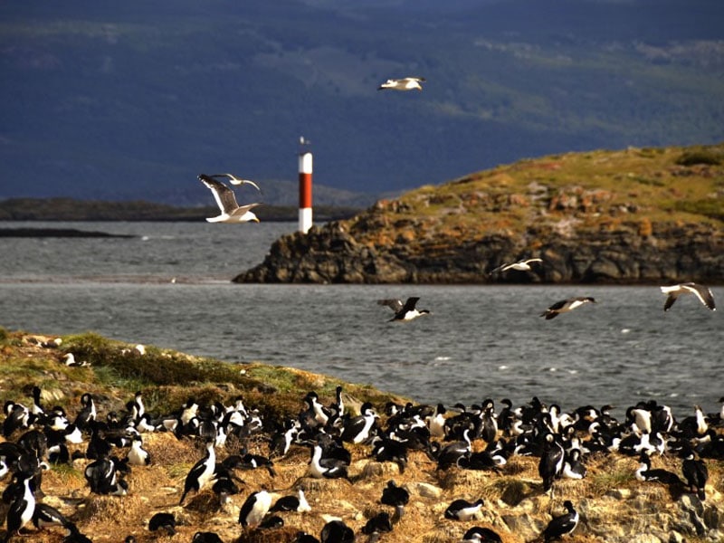 O que fazer no verão em Ushuaia