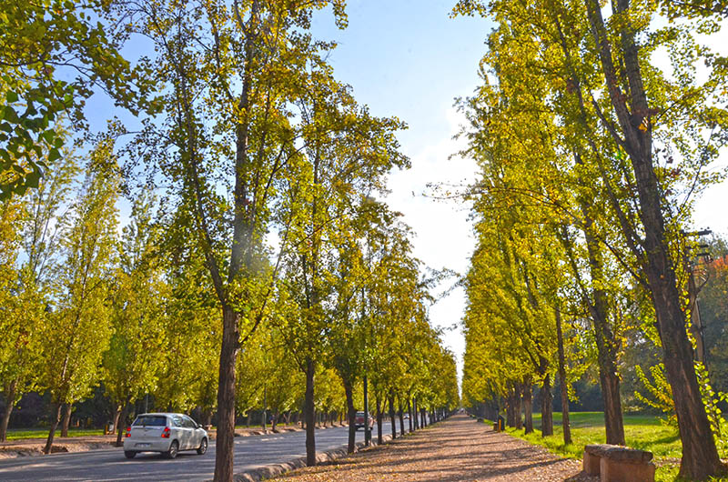 Principais pontos turísticos de Mendoza