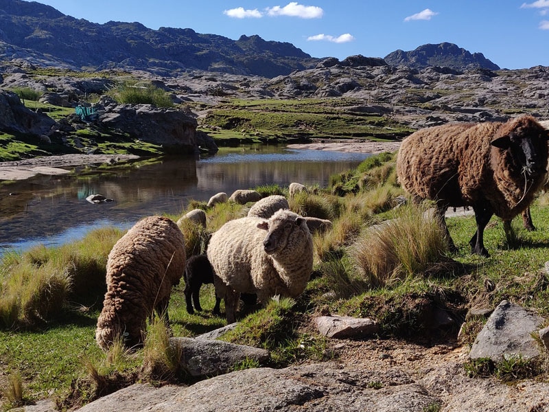 como viver aposentado na argentina