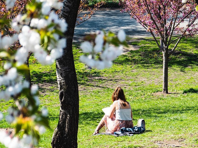 Dicas de Nova York em agosto