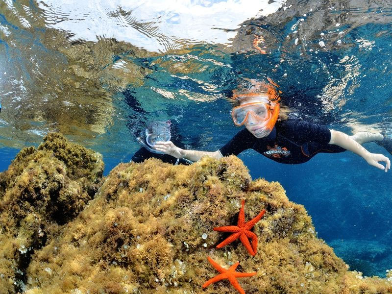 Mergulho em Cannes? Turismo em Cannes