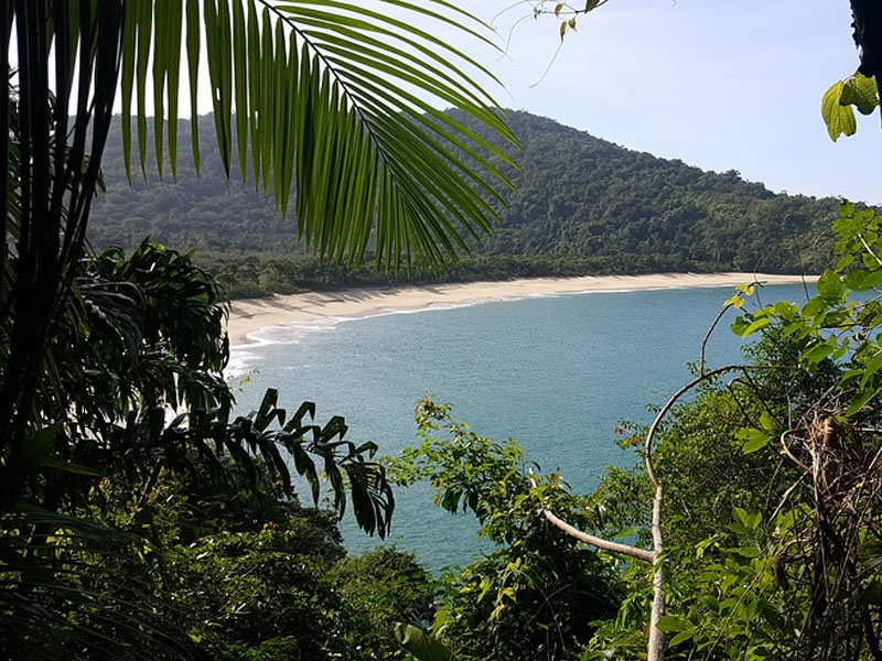 Praias de tombo em São Paulo