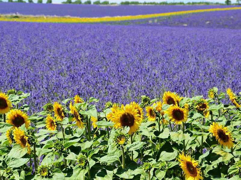 Lugares da Provence