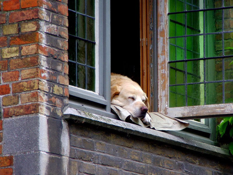 Morar na Bélgica Como conseguir visto na Europa