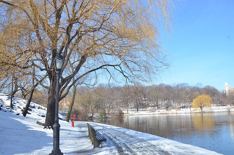 O que fazer no inverno de Nova York