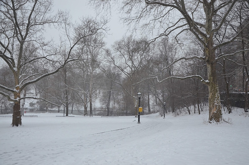 Dicas para o inverno em Nova York