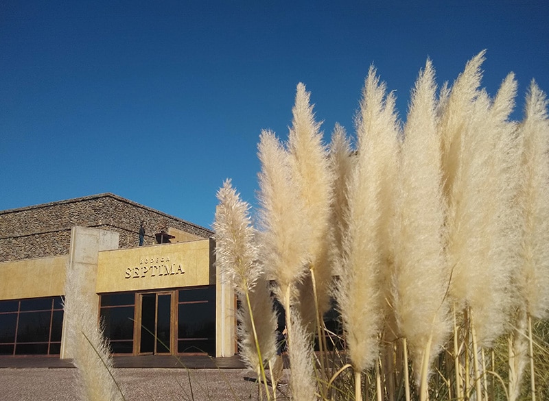 Vinícolas em Mendoza