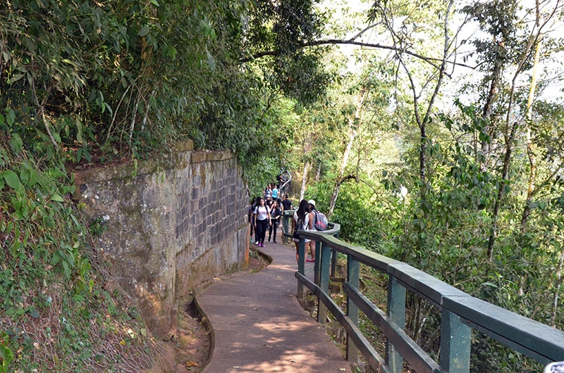 descobrindo o lado brasileiro das cataratas 