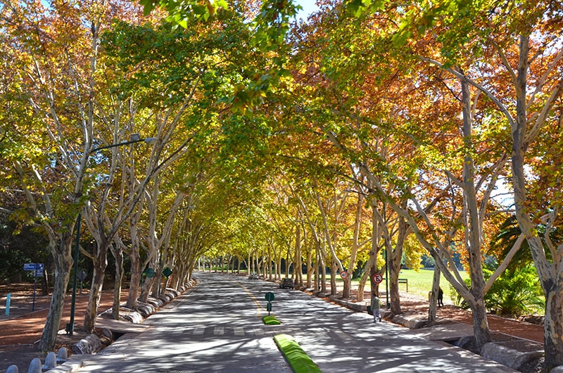 Parque General San Martín