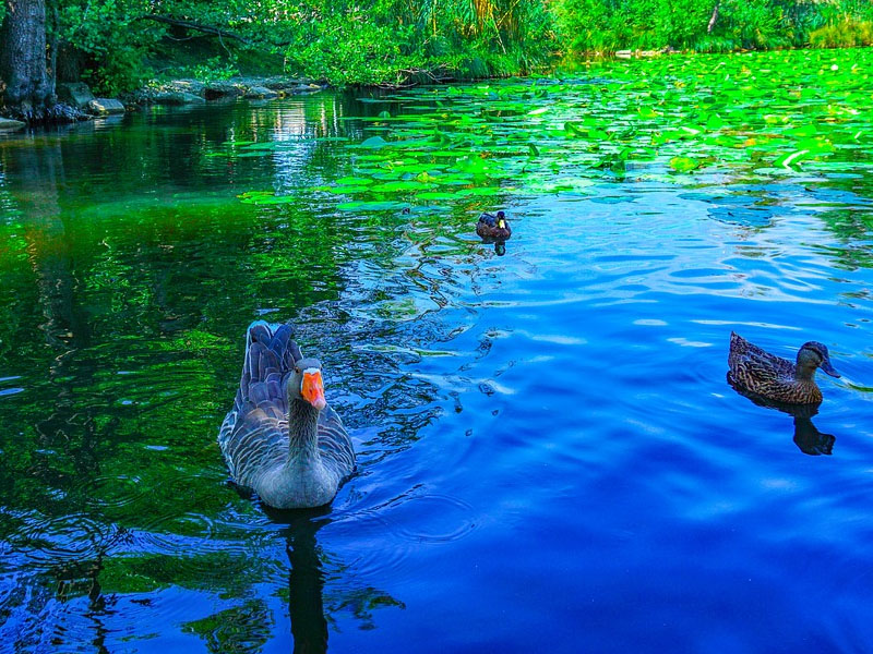 Lago de Como na Itália Belezas naturais na Itália