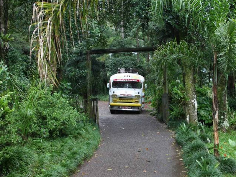Melhores tours da Serra Gaúcha? O que fazer na Serra Gaúcha
