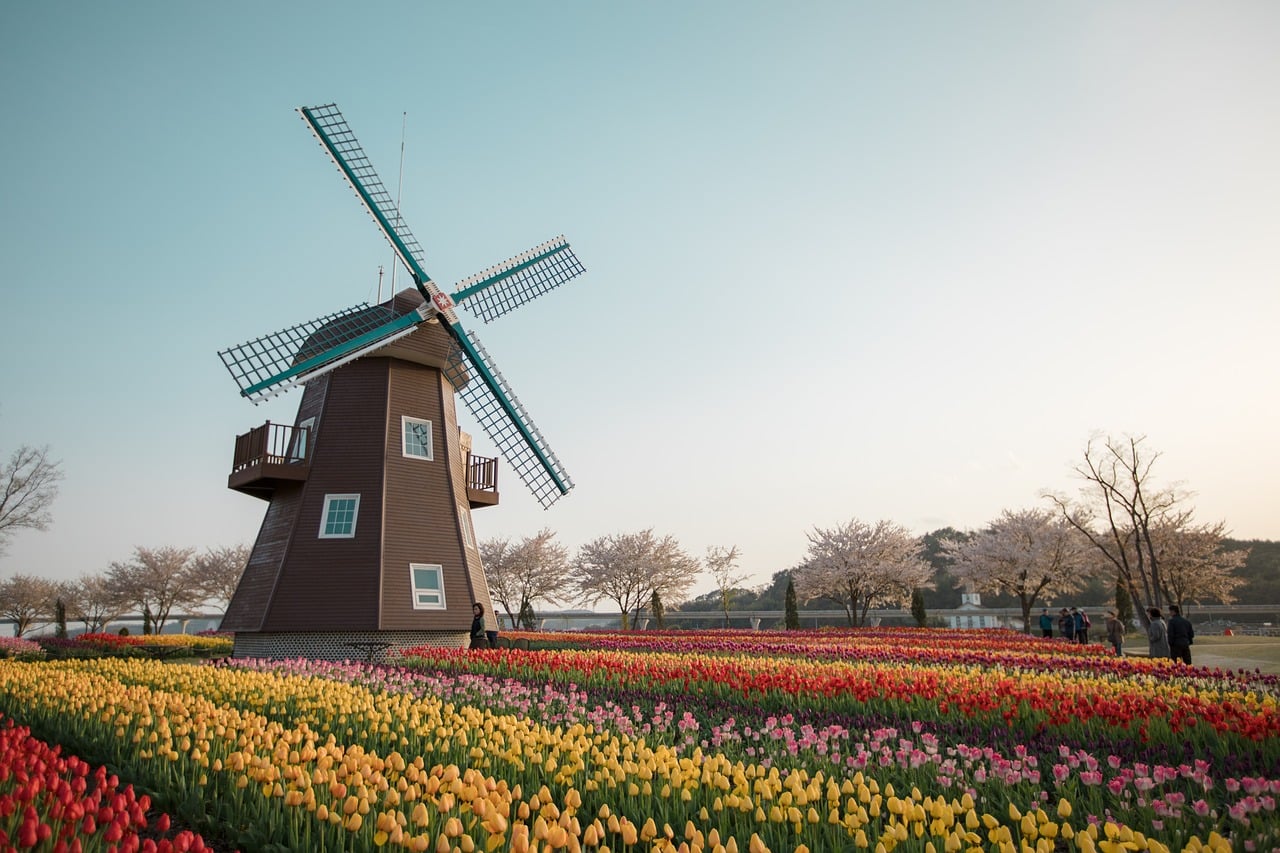 morar na holanda