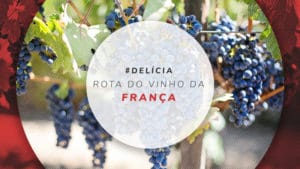 Rota do vinho na França: principais roteiros de vinhos franceses