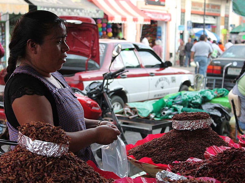 O que conhecer em Oaxaca
