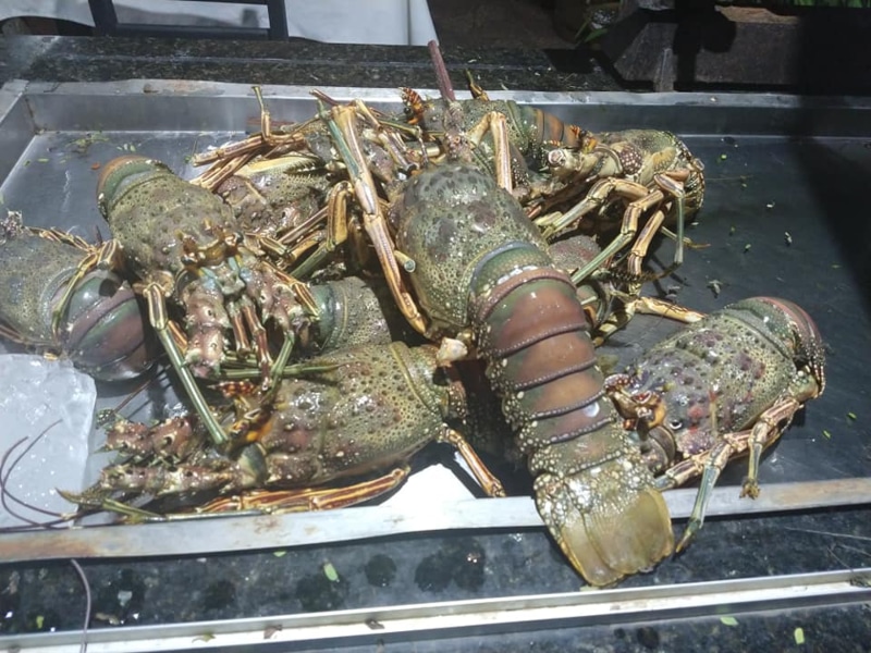 Restaurantes na Bahia 